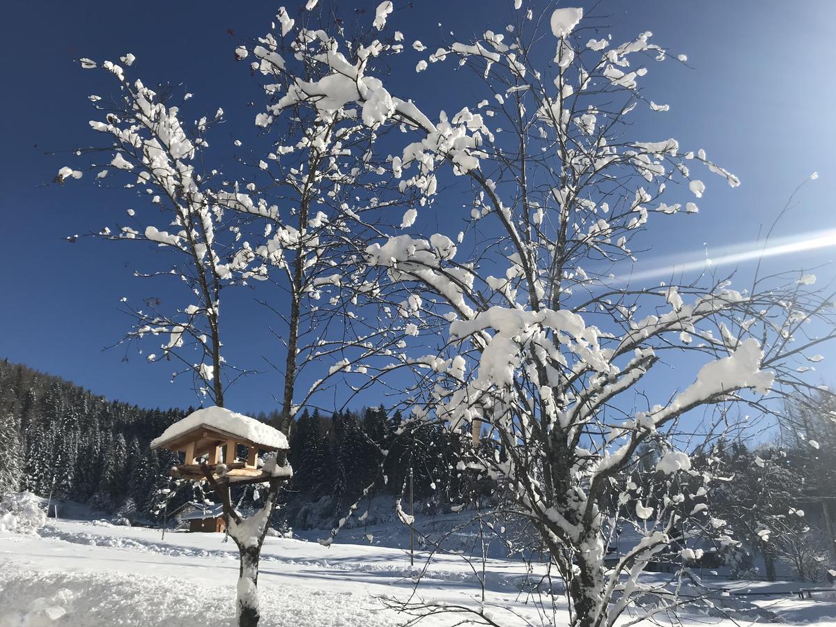 Kapriol Otel Castello Tesino Dış mekan fotoğraf